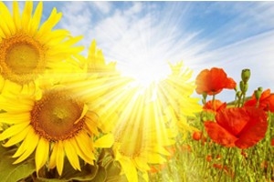 正能量傳送門：萬順叫車合伙人，拾金不昧暖人心